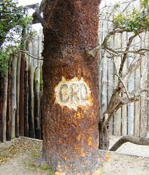 Roanoke Colony Disappearance